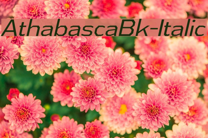 AthabascaBk-Italic Font examples
