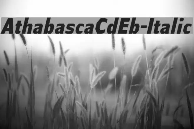 AthabascaCdEb-Italic Font examples