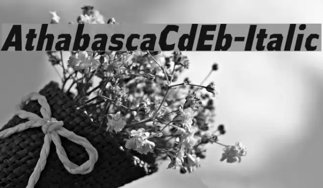 AthabascaCdEb-Italic Font examples