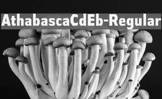 AthabascaCdEb-Regular Font examples