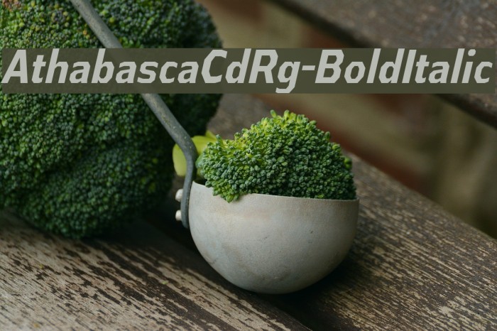 AthabascaCdRg-BoldItalic Font examples