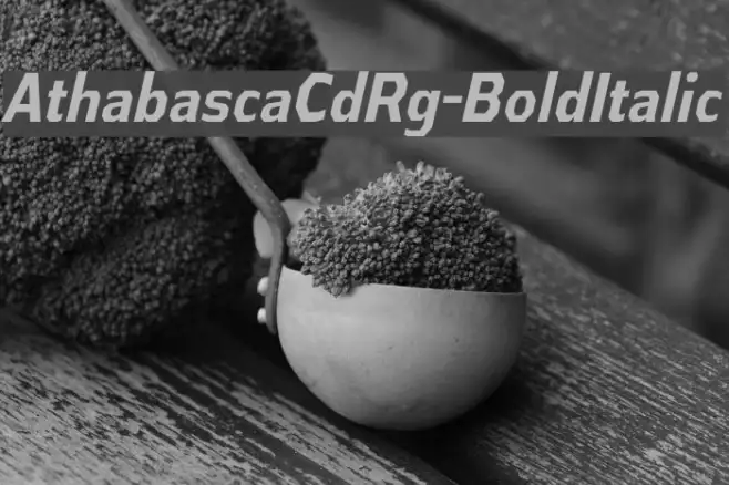 AthabascaCdRg-BoldItalic Example 3