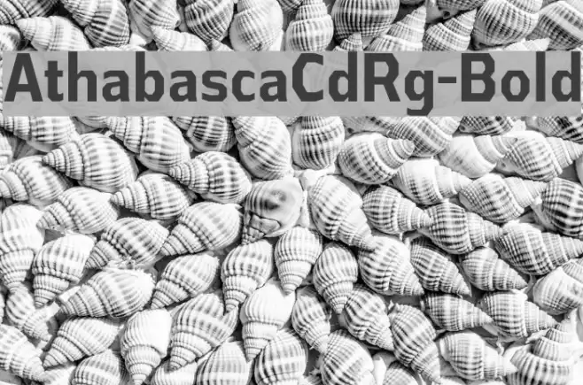 AthabascaCdRg-Bold Example 3