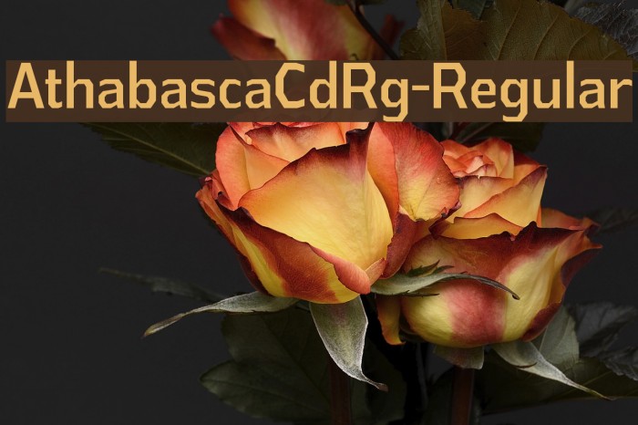 AthabascaCdRg-Regular Font examples