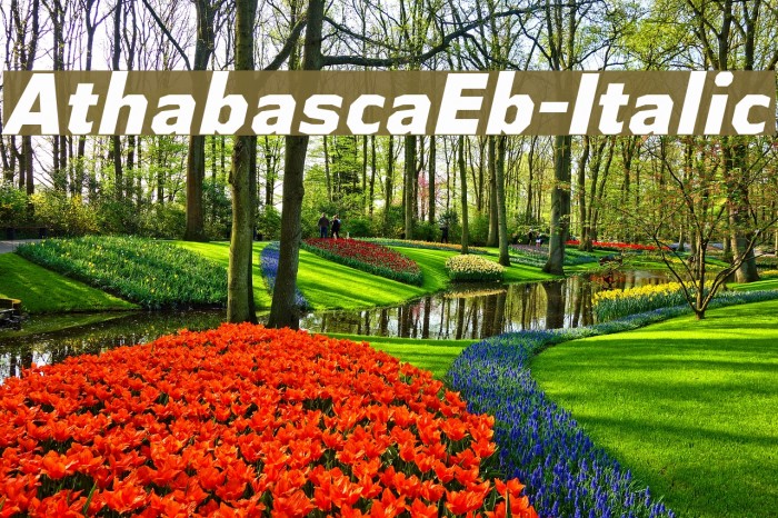 AthabascaEb-Italic Font examples
