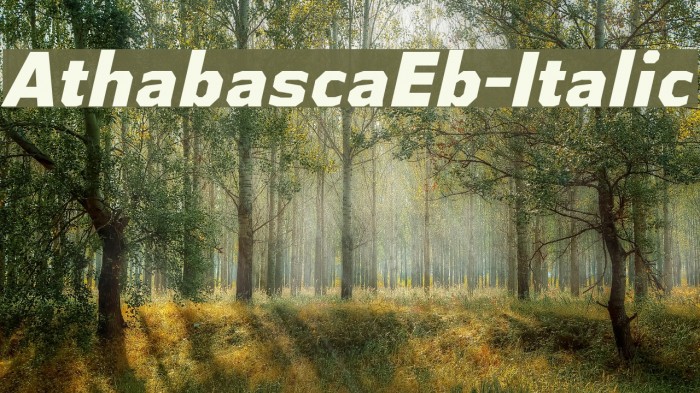 AthabascaEb-Italic Font examples