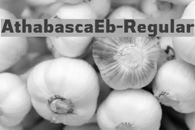 AthabascaEb-Regular Example 2