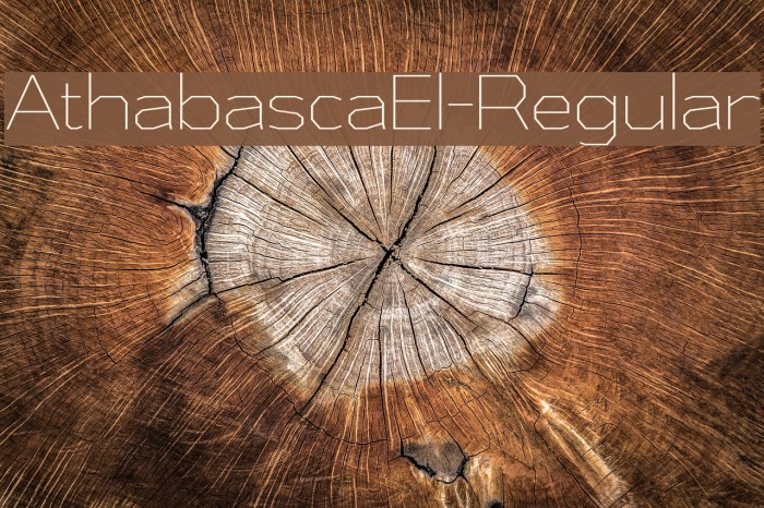 AthabascaEl-Regular Font examples