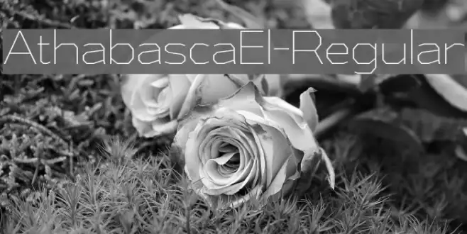 AthabascaEl-Regular Example 3