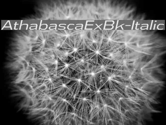 AthabascaExBk-Italic Font examples