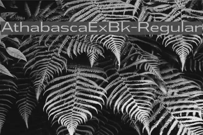 AthabascaExBk-Regular Font examples