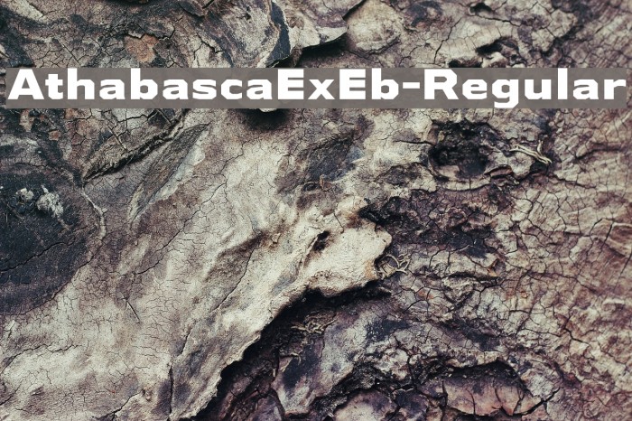 AthabascaExEb-Regular Font examples
