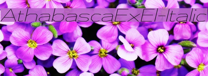 AthabascaExEl-Italic Example 1