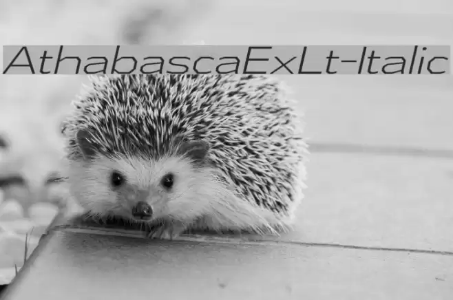 AthabascaExLt-Italic Font examples