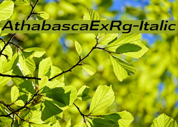 AthabascaExRg-Italic Font examples