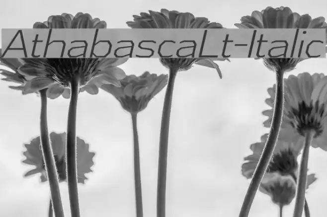 AthabascaLt-Italic Font examples