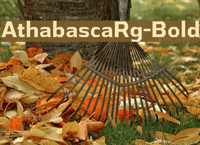 AthabascaRg-Bold Example 1
