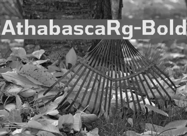 AthabascaRg-Bold Font examples