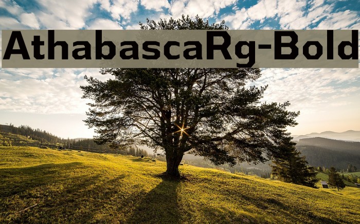 AthabascaRg-Bold Example 2