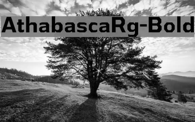 AthabascaRg-Bold Font examples