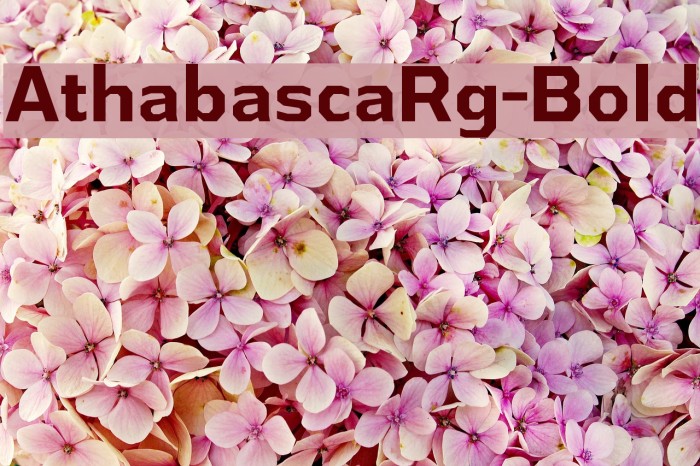 AthabascaRg-Bold Example 3