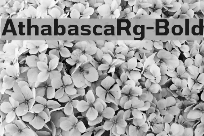 AthabascaRg-Bold Font examples
