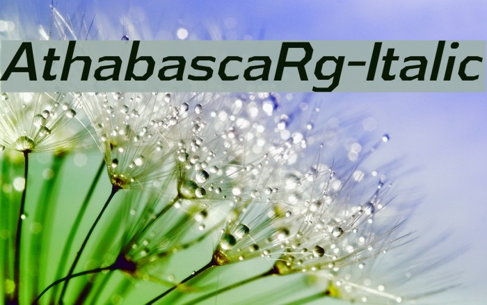 AthabascaRg-Italic Font examples