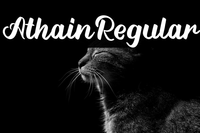 Athain-Regular Example 2