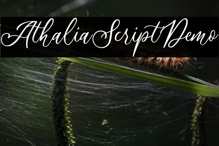 AthaliaScriptDemo Example 2