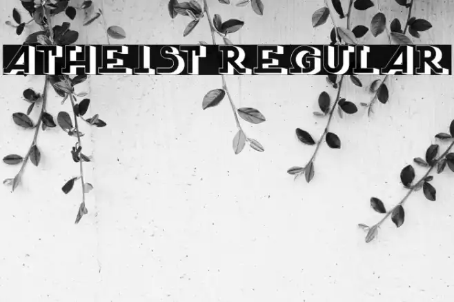 Atheist Regular Example 3