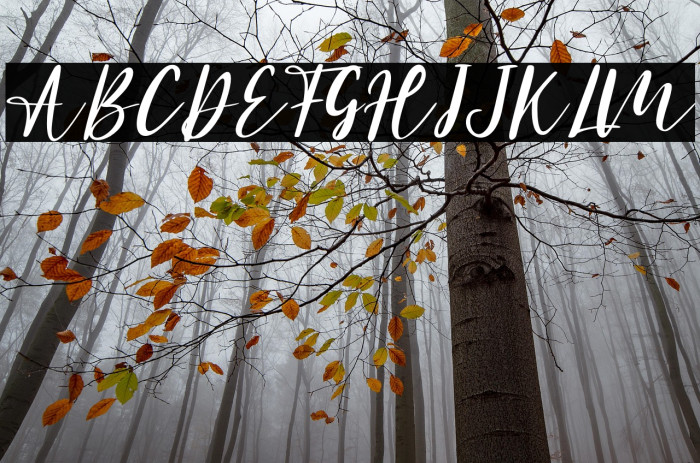 Athena - Personal Use Example 3