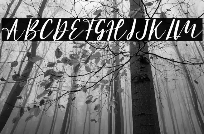 Athena - Personal Use Font examples