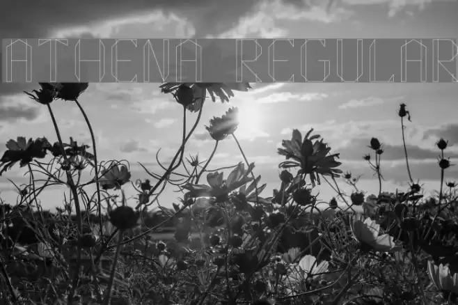 Athena Regular Font examples