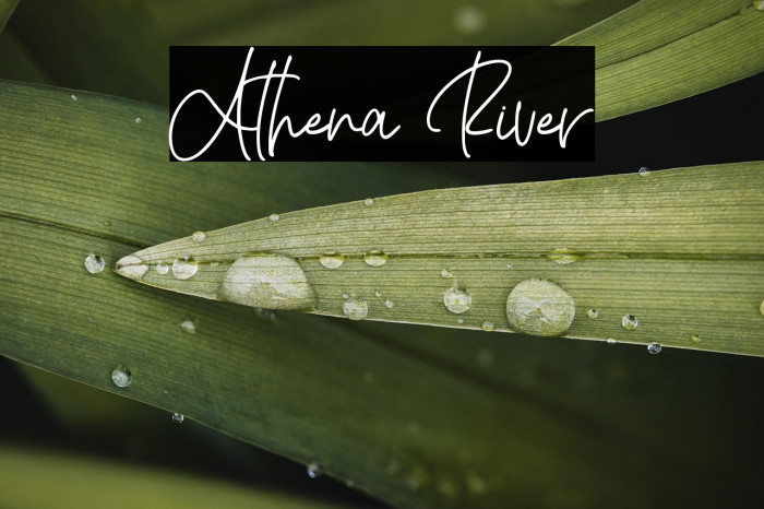 Athena River Example 2