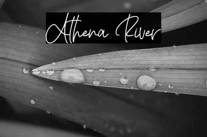 Athena River Font examples