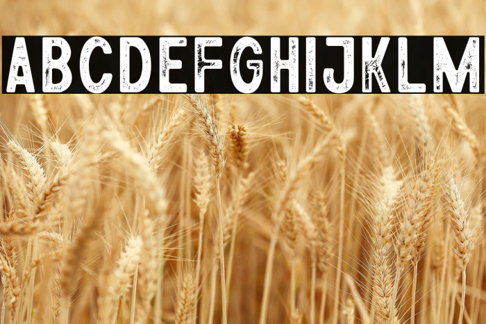 Athena Rustic Example 1