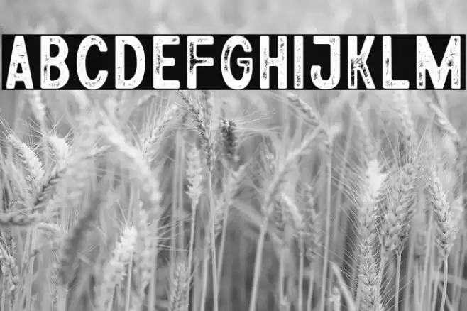 Athena Rustic Font examples