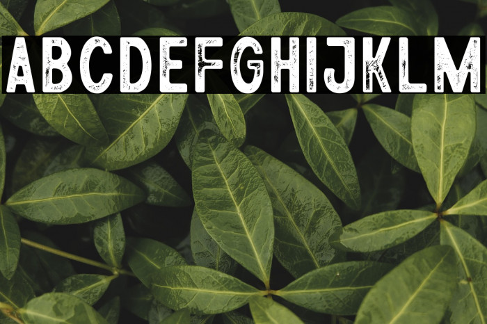 Athena Rustic Example 2