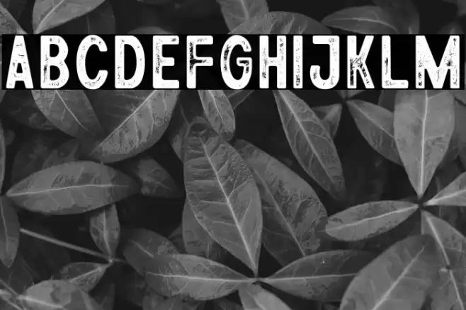 Athena Rustic Font examples