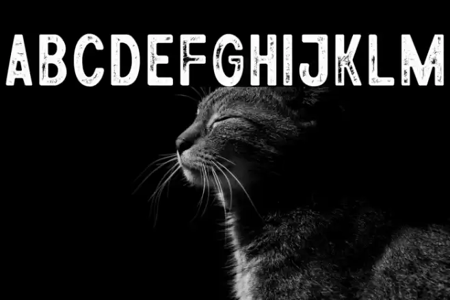 Athena Rustic Font examples