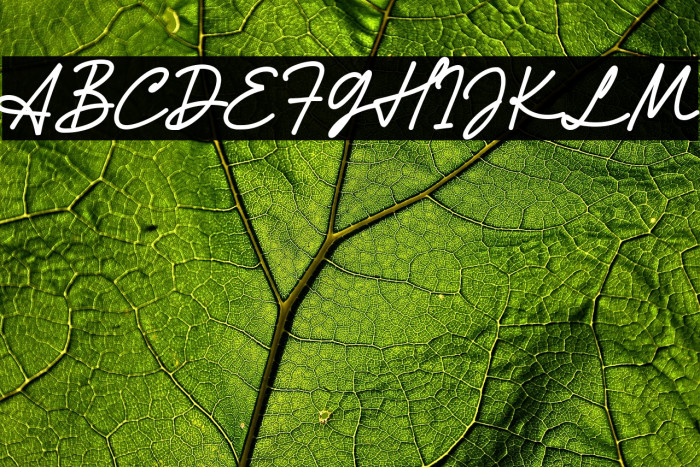 Athena Signature Example 1