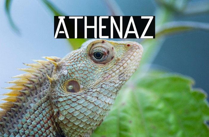 Athenaz Example 2