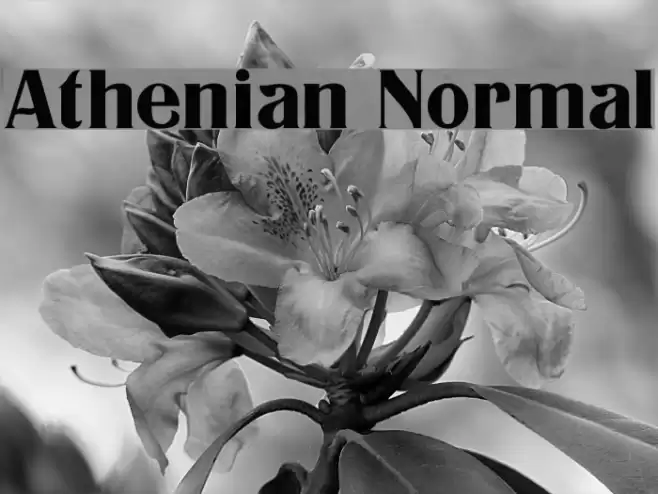 Athenian Normal Font examples