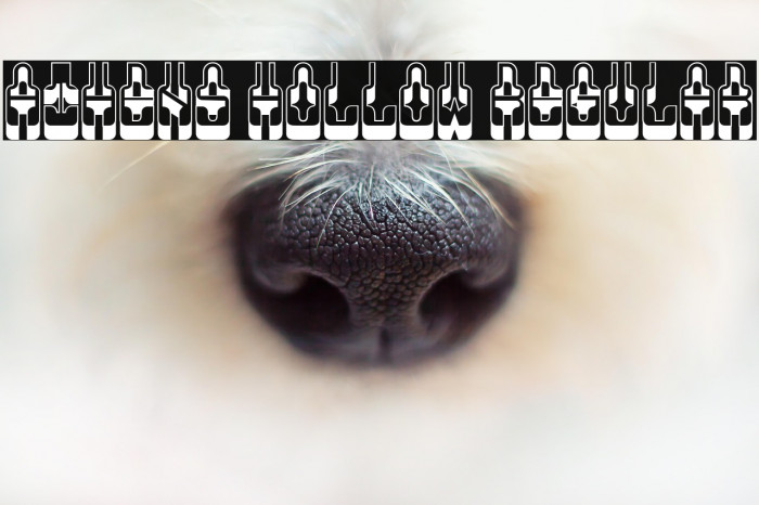 Athens Hollow Regular Example 1