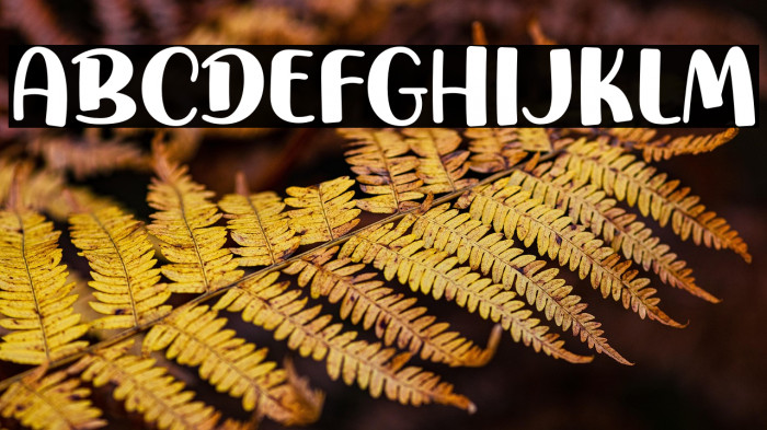 AtheraCharlote Example 1