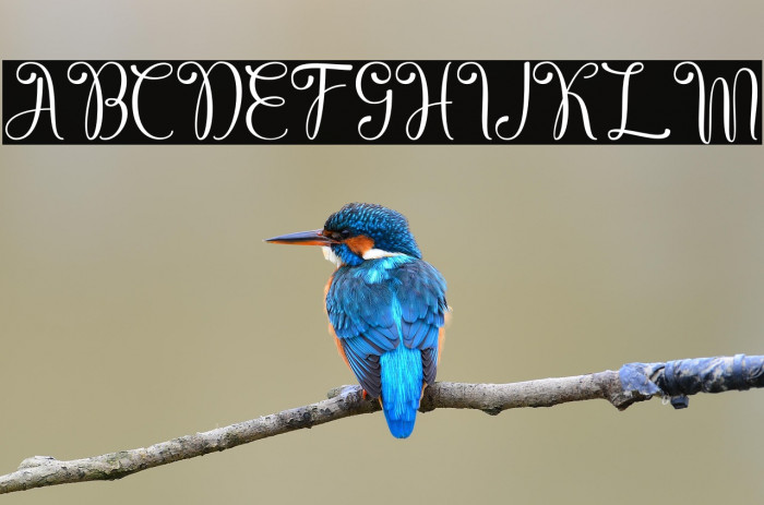 AthernalPersonalUse Example 2