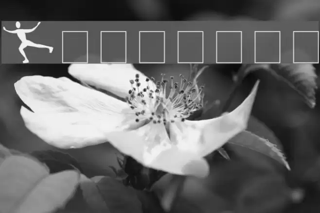 Athletes Font examples