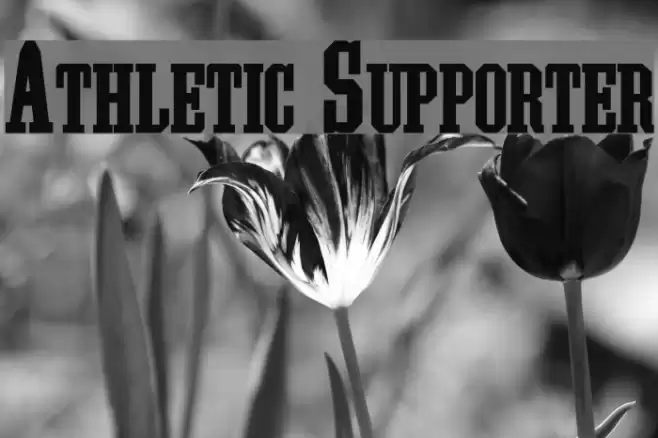 Athletic Supporter Font examples