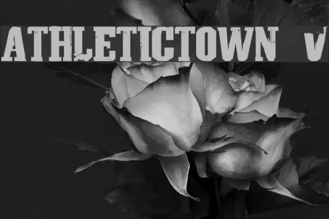 AthleticTown v0.1 Fonte examples