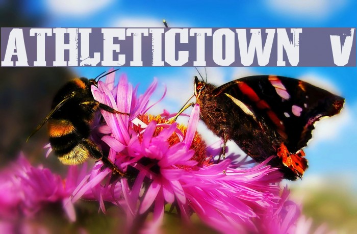 AthleticTown v0.1 Font examples